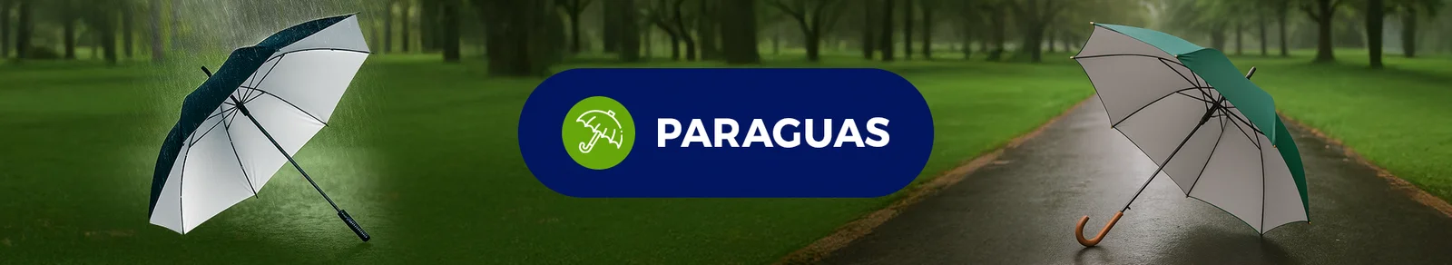 Banner de categoría