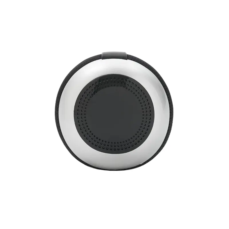 ParlantePolifonic4-1746026398.webp