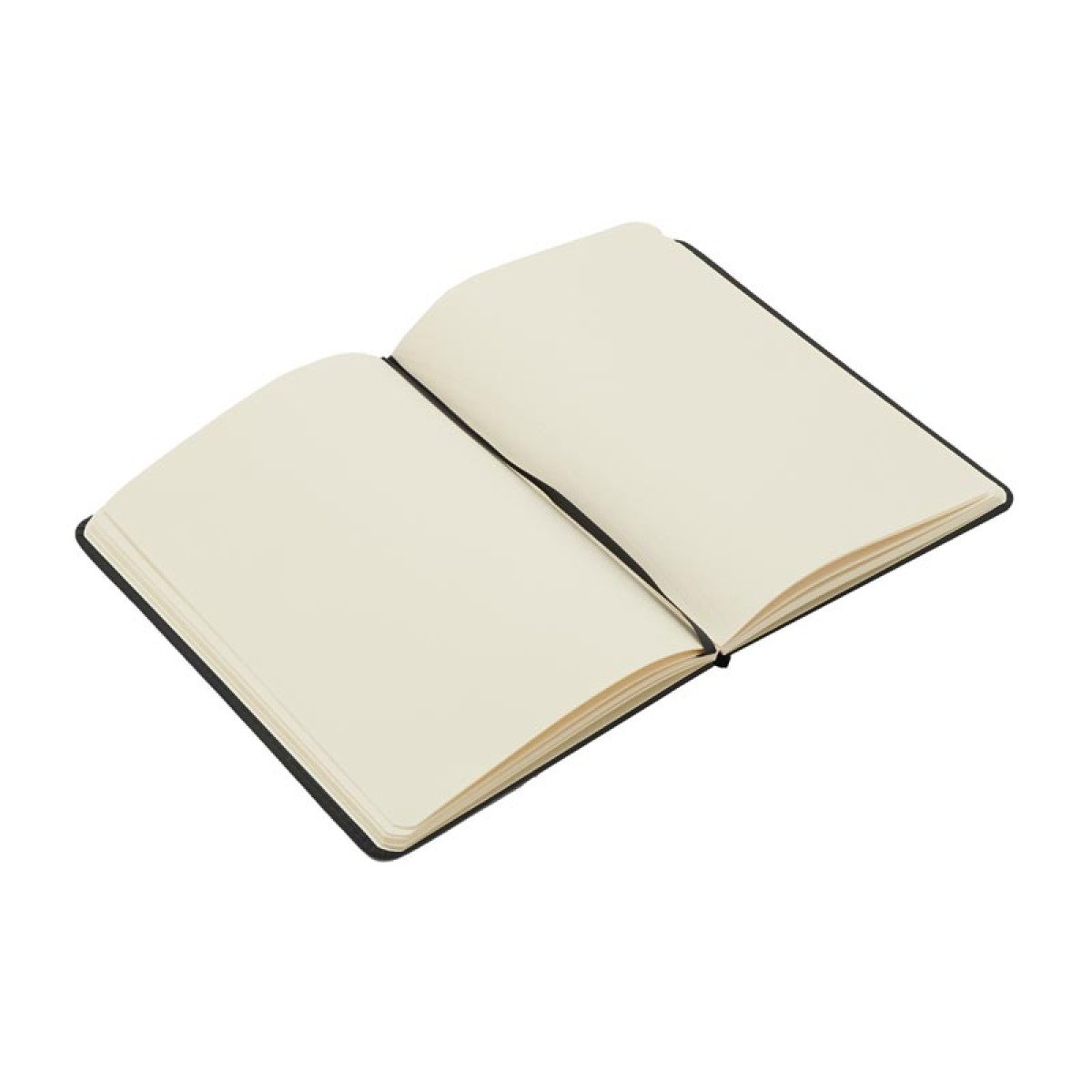 The20Daily20Book20Enigma2052Cjpg8-1707401930.jpg