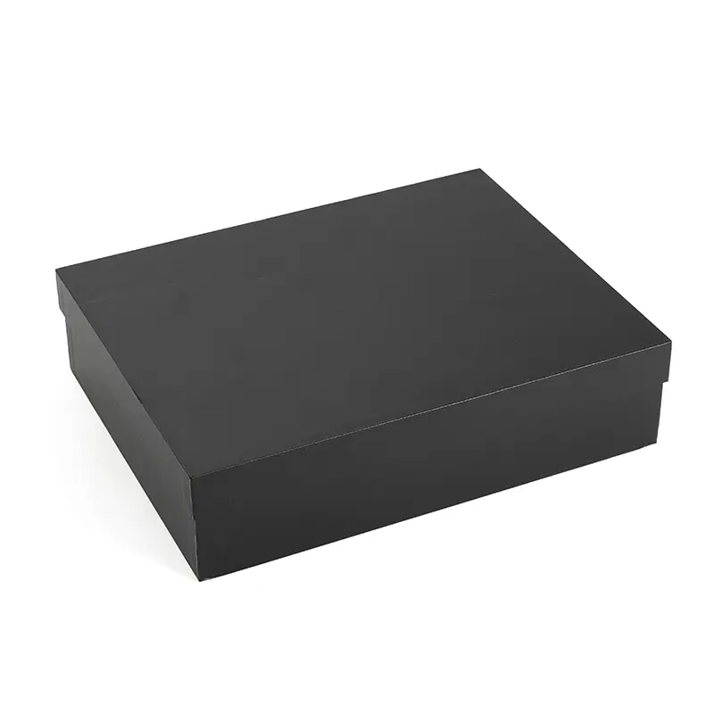i8bogmtonp8-1770062158.webp