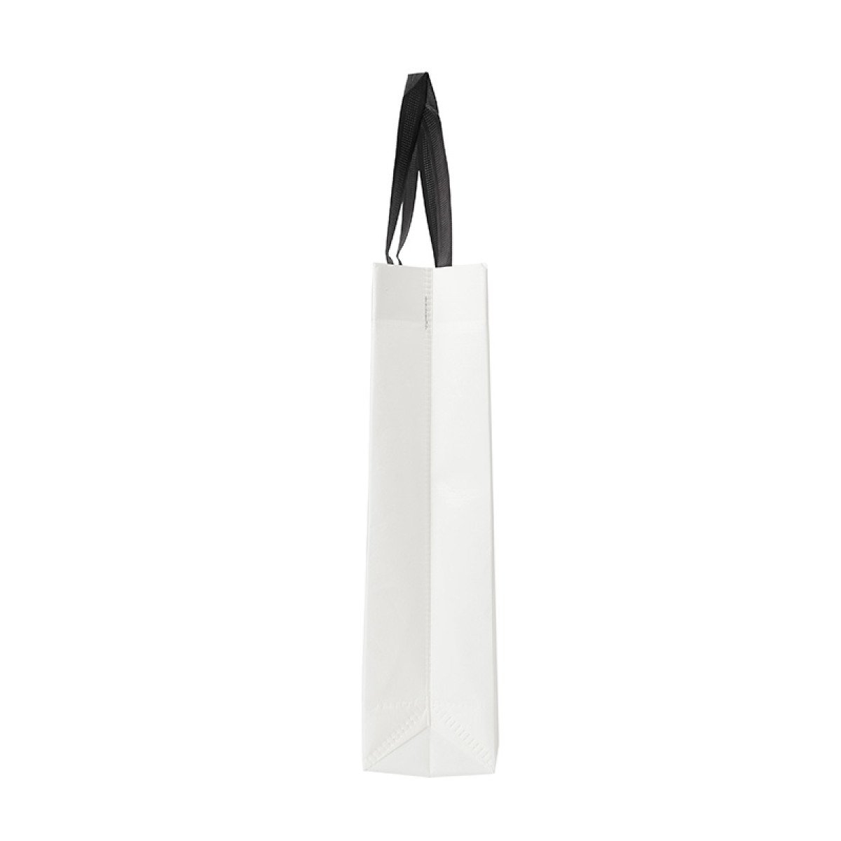 bolsa-shiny-carrusel_32Cjpg-1663877872.jpg