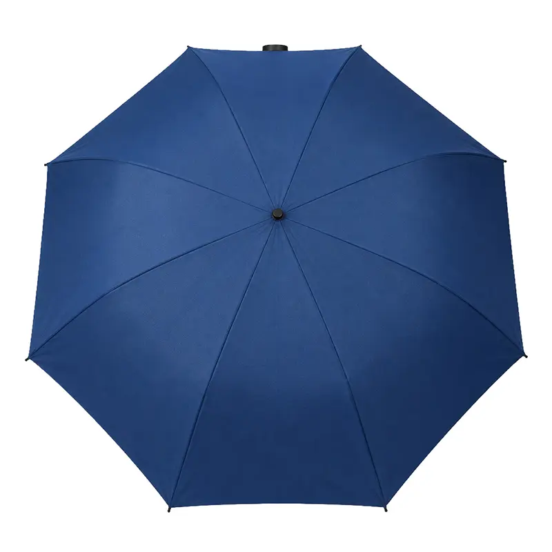 25zubpeueg6-1779995756.webp