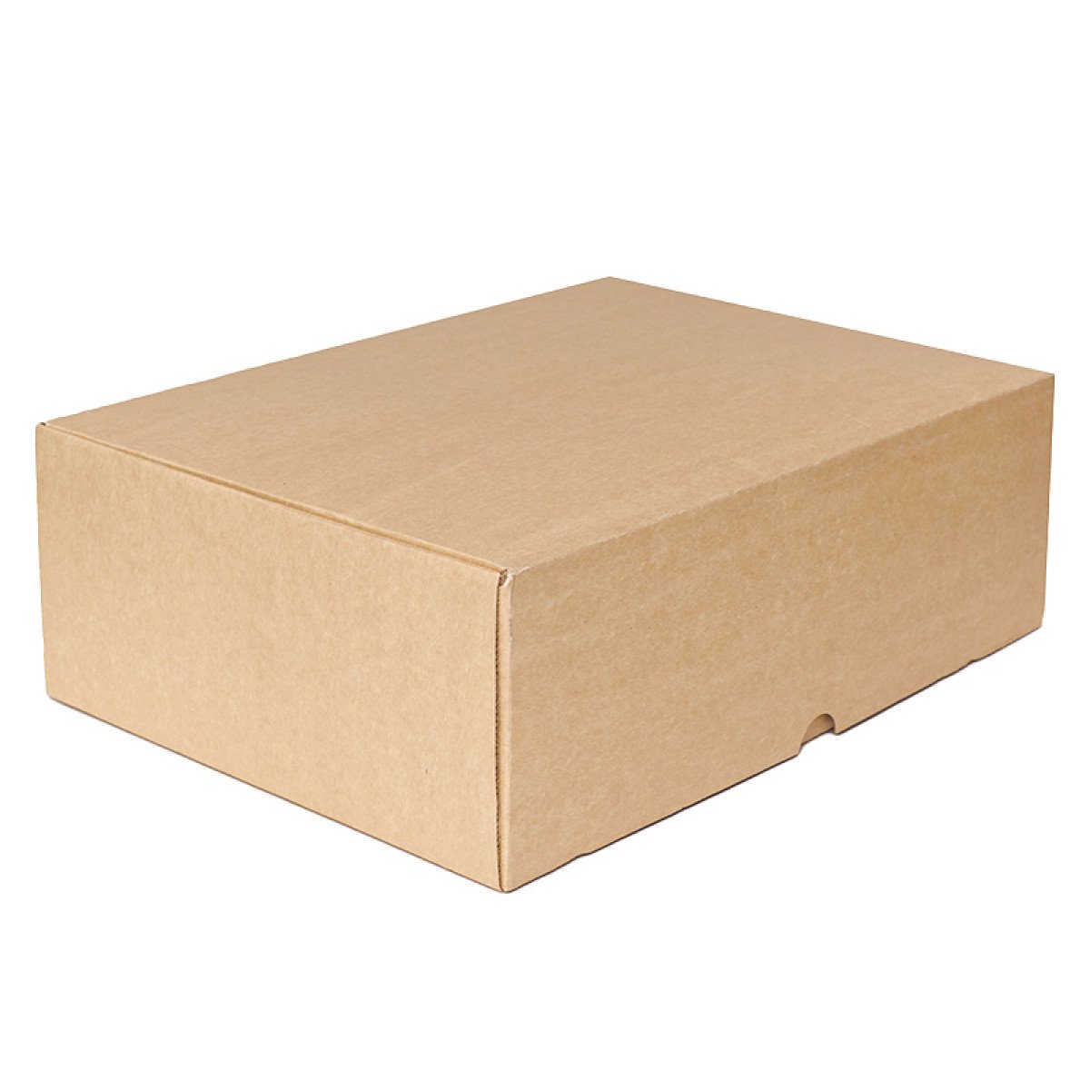 Caja-extra-grande-042Cjpg-1688387225-1.jpg