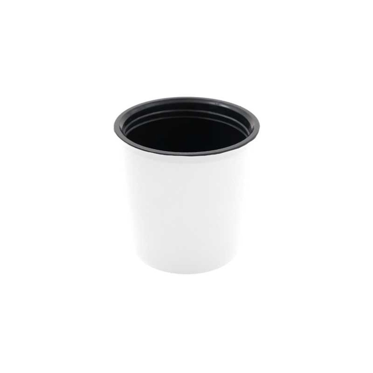 Termo20Ivy2012C2L20Blanco22Cjpg11-1700839345.jpg
