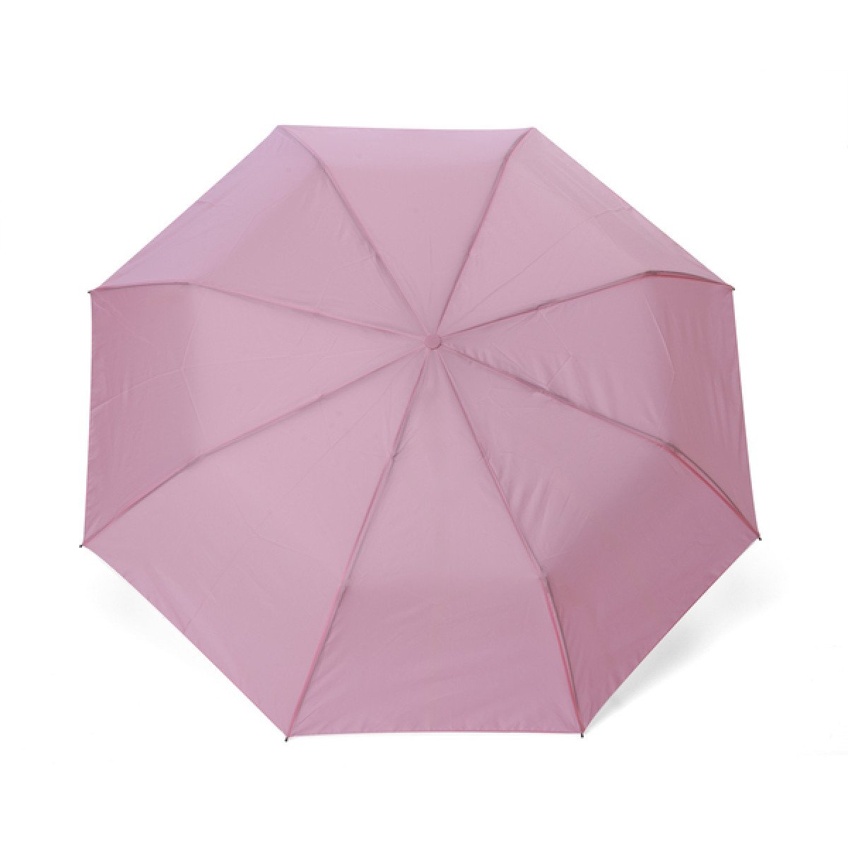 410-Rosa-1.jpg
