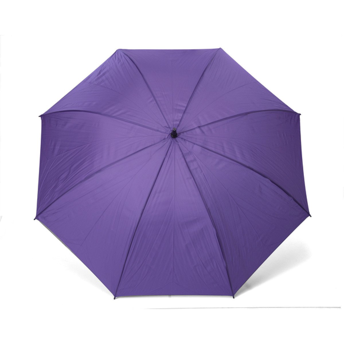 432-Violeta.jpg