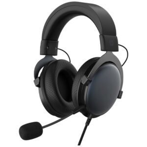 Auriculares Con Microfono HP DHE-8005 USB + 3,5mm