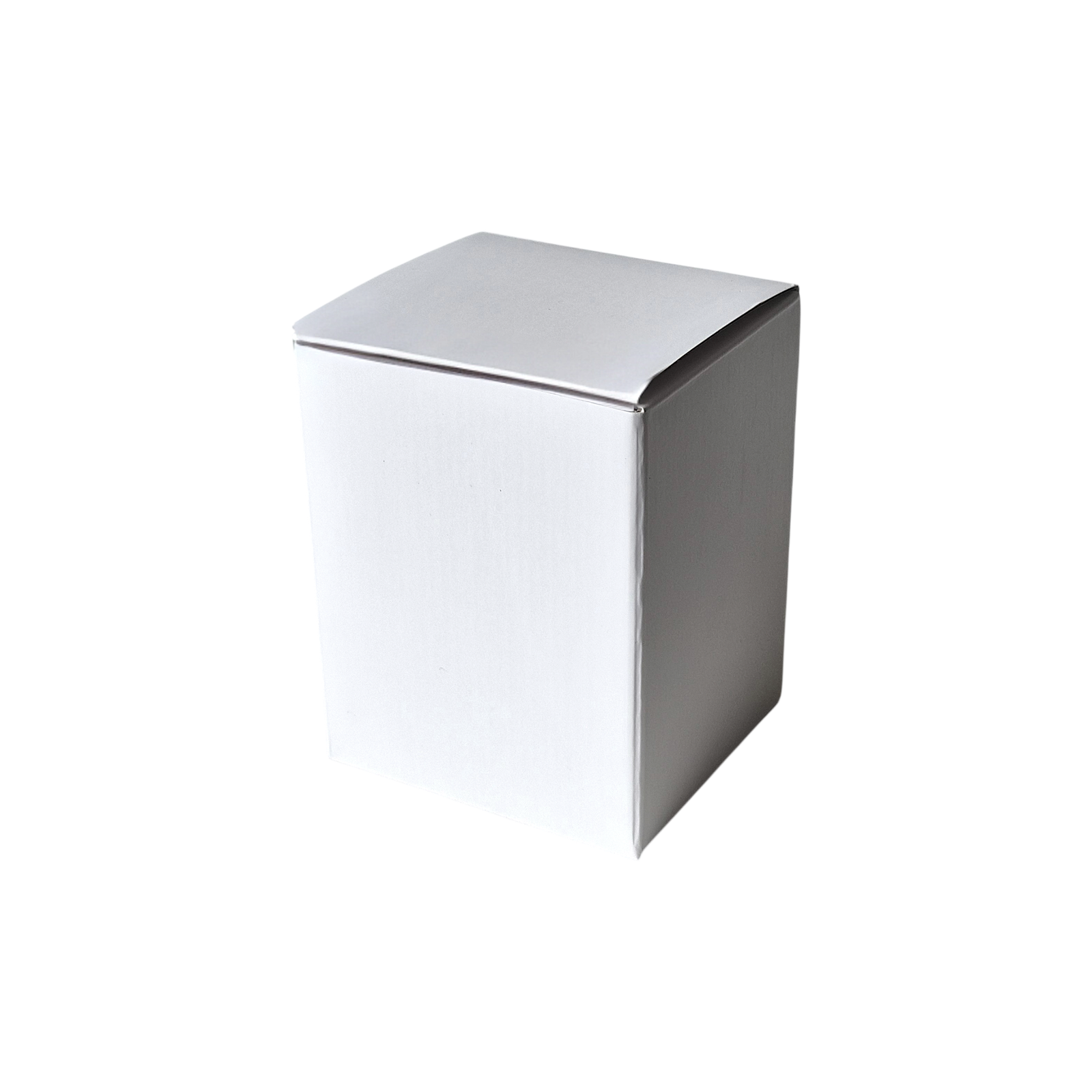 W031b_7.png