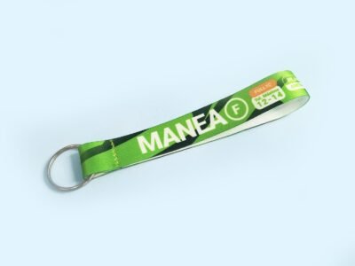 Manea SF 2030