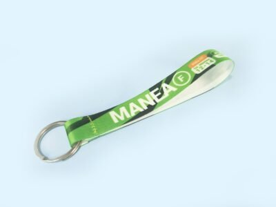 Manea SFP 2030